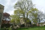 PICTURES/Road Trip - Canterbury Cathedral/t_Ancient Ruins1.JPG